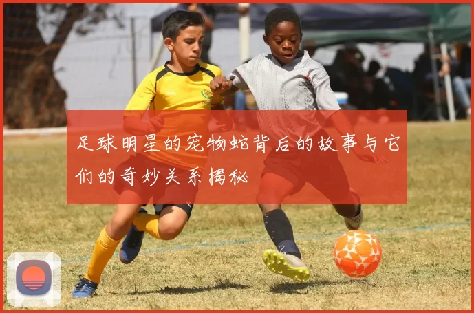 足球明星的宠物蛇背后的故事与它们的奇妙关系揭秘