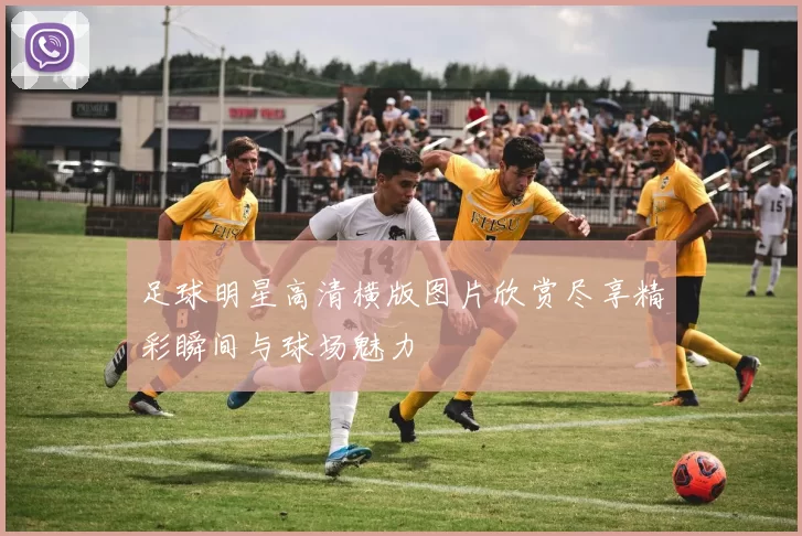 足球明星高清横版图片欣赏尽享精彩瞬间与球场魅力