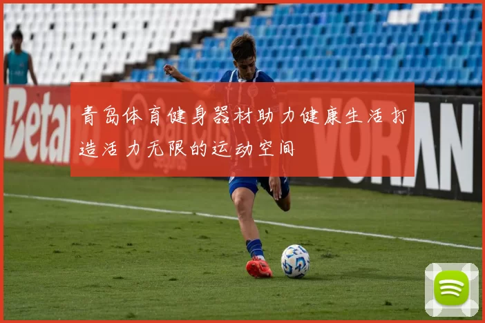 青岛体育健身器材助力健康生活打造活力无限的运动空间